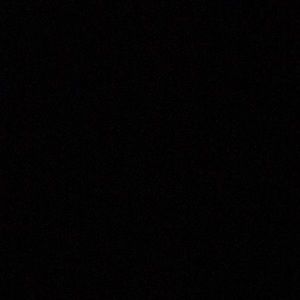 Meet your Posher, Savannah